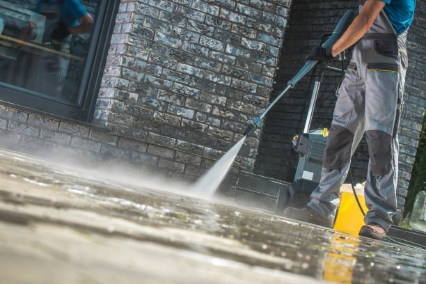 Best Solar Panel Cleaning  in Arabi, LA